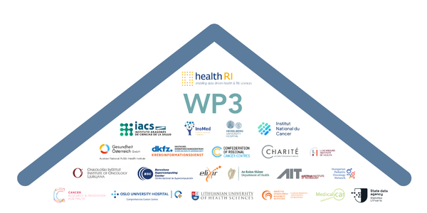 A symbolised roof in blue sits below the text "WP3) and a group of logos from involved organisations.