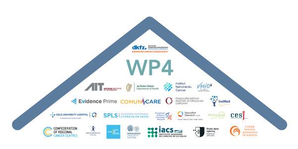 A symbolised roof in blue sits below the text "WP4" and a group of logos from involved organisations.