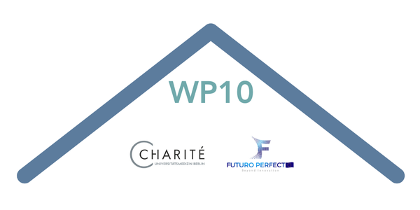 A stylised roof with all partner logos for work package 10.