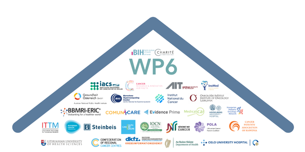 A stylised roof with all partner logos for work package 6.