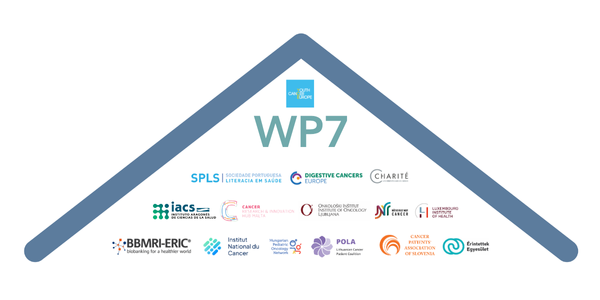 A stylised roof with all partner logos for work package 7.
