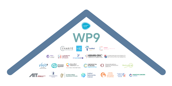 A stylised roof with all partner logos for work package 9.
