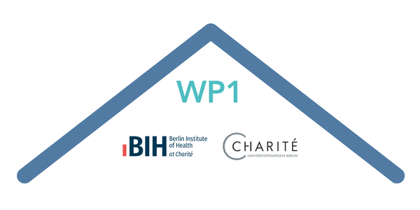 A stylised roof with all partner logos for work package 1.