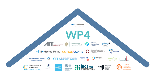A stylised roof with all partner logos for work package 4.