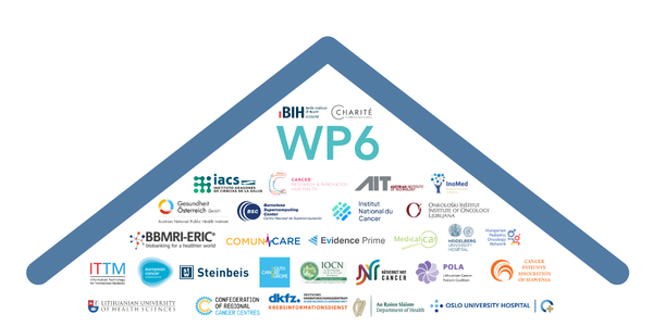 A stylised roof with all partner logos for work package 6.