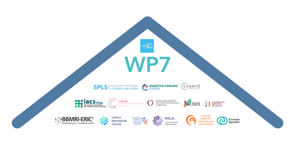 A stylised roof with all partner logos for work package 7.