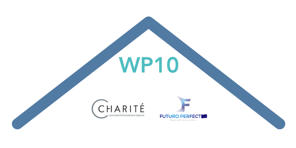 A stylised roof with all partner logos for work package 10.